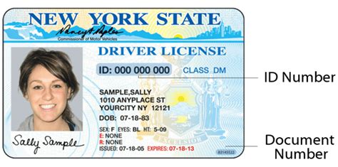 document number on nys driver's license.
